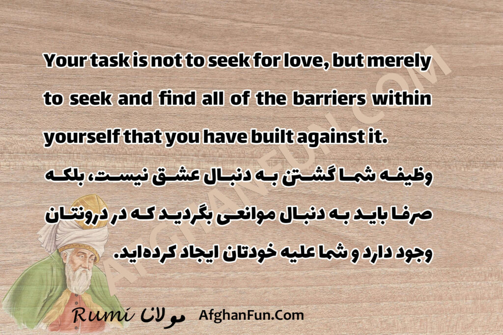 Your task is not to seek for love