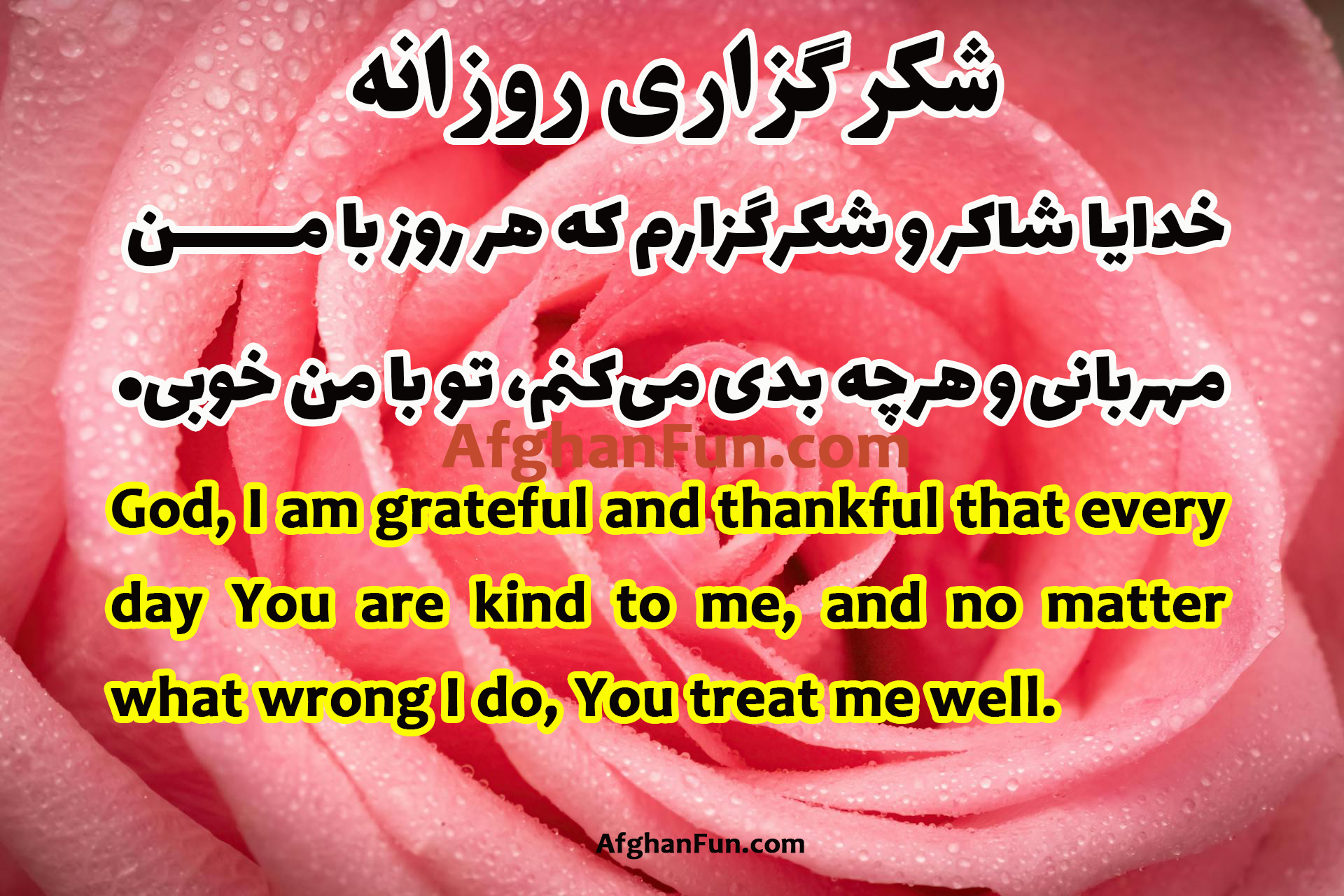 God, I am grateful and thankful that every day You are kind to me, and no matter what wrong I do, You treat me well.