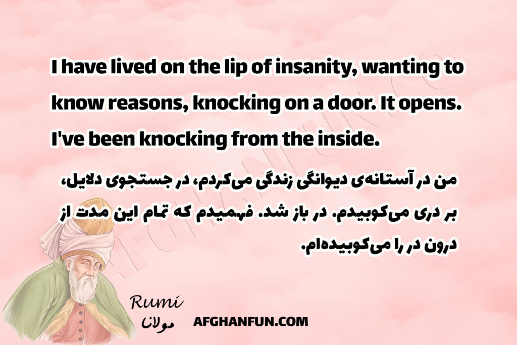 I have lived on the lip of insanity…