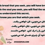 If it is bread that you seek, you will have bread. If it is the soul you seek, you will find the soul. If you understand this secret, you know you are that which you seek.