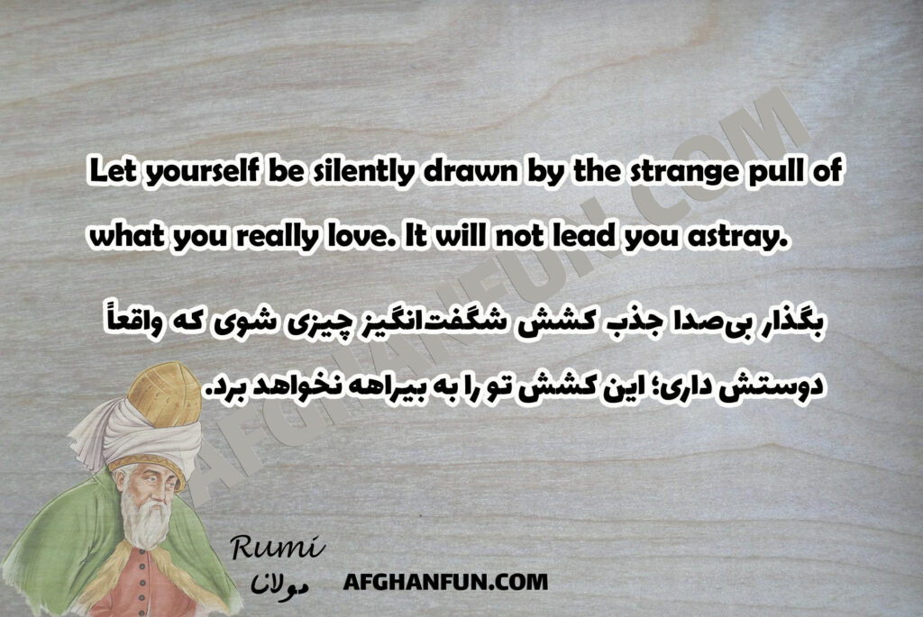 Rumi’s Quote: Love Will Never Lead You Astray