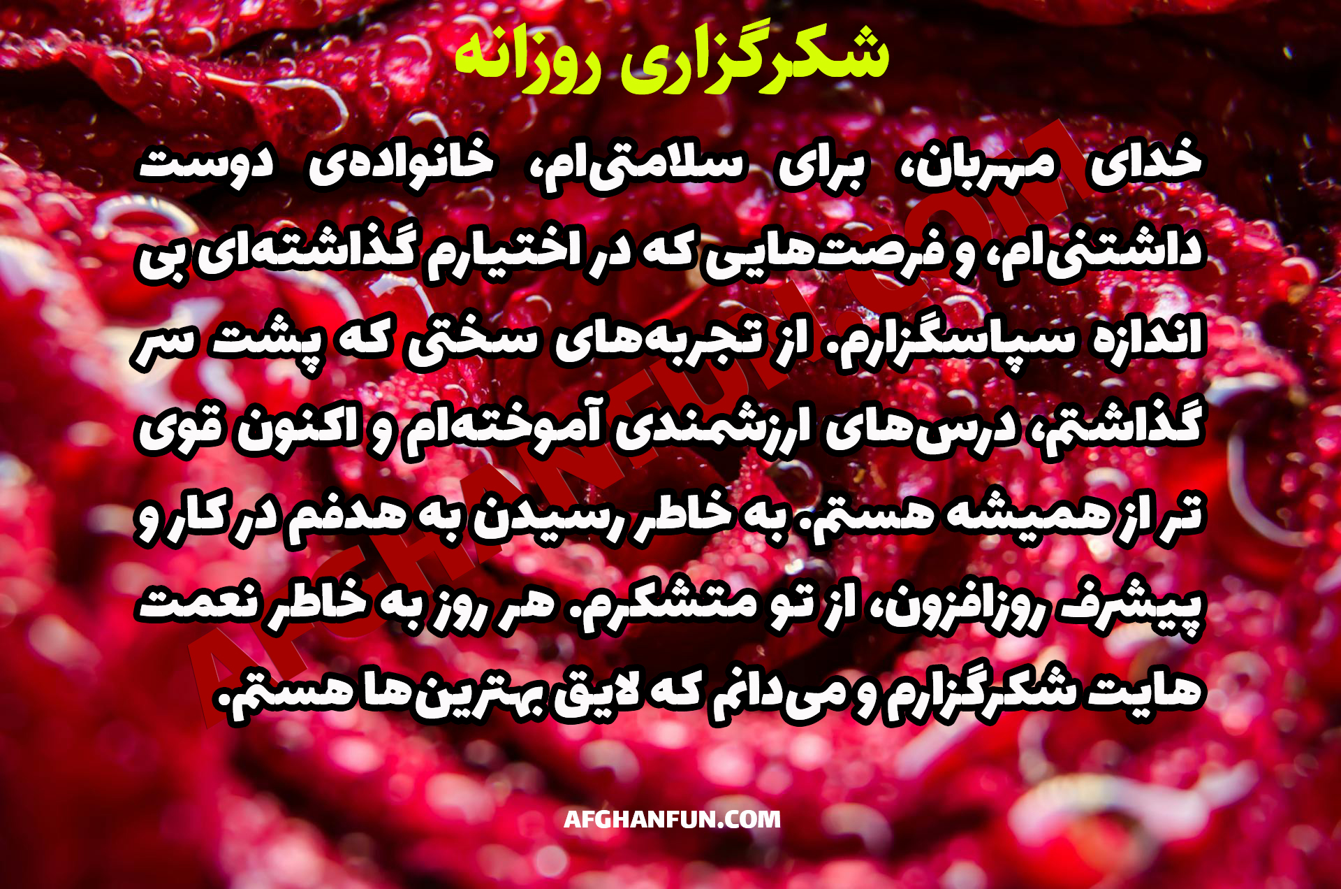 "O Most Merciful God, I am immensely grateful for my health, my loving family, and the countless opportunities You have bestowed upon me. Through the challenges I have faced, I have gained invaluable wisdom, and I am now stronger than ever. I thank You for my achievements in my career and for my continuous progress. Every day, I am thankful for Your blessings and I firmly believe that I am deserving of the best."