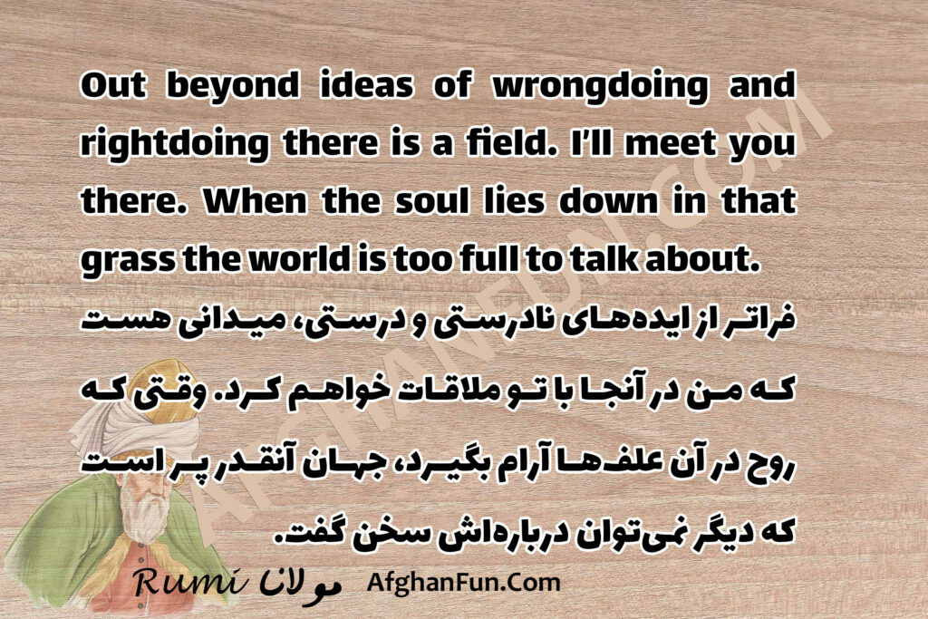 Out beyond ideas of wrongdoing and rightdoing there is a field.