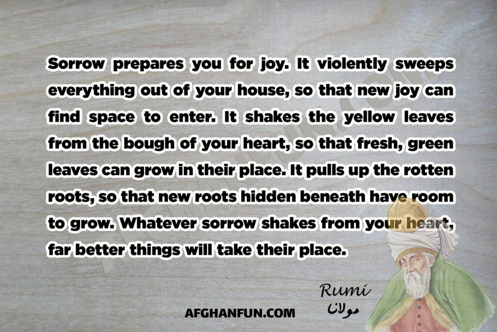 Sorrow prepares you for joy. It violently sweeps everything out of your house, so that new joy can find space to enter. It shakes the yellow leaves from the bough of your heart, so that fresh, green leaves can grow in their place. It pulls up the rotten roots, so that new roots hidden beneath have room to grow. Whatever sorrow shakes from your heart, far better things will take their place.