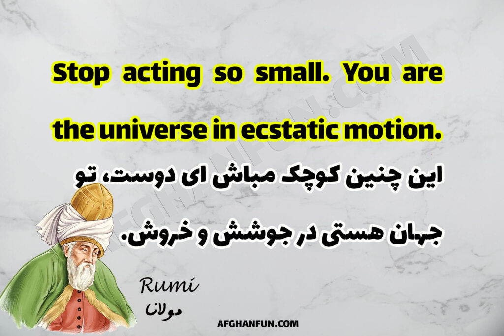 Stop acting so small. You are the universe in ecstatic motion.