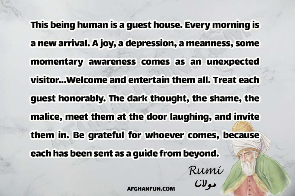 This being human is a guest house. Every morning is a new arrival. A joy, a depression, a meanness, some momentary awareness comes as an unexpected visitor...Welcome and entertain them all. Treat each guest honorably. The dark thought, the shame, the malice, meet them at the door laughing, and invite them in. Be grateful for whoever comes, because each has been sent as a guide from beyond.