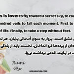 This is love: to fly toward a secret sky, to cause a hundred veils to fall each moment. First to let go of life. Finally, to take a step without feet.