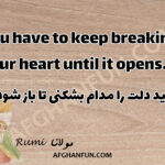 You have to keep breaking your heart until it opens.