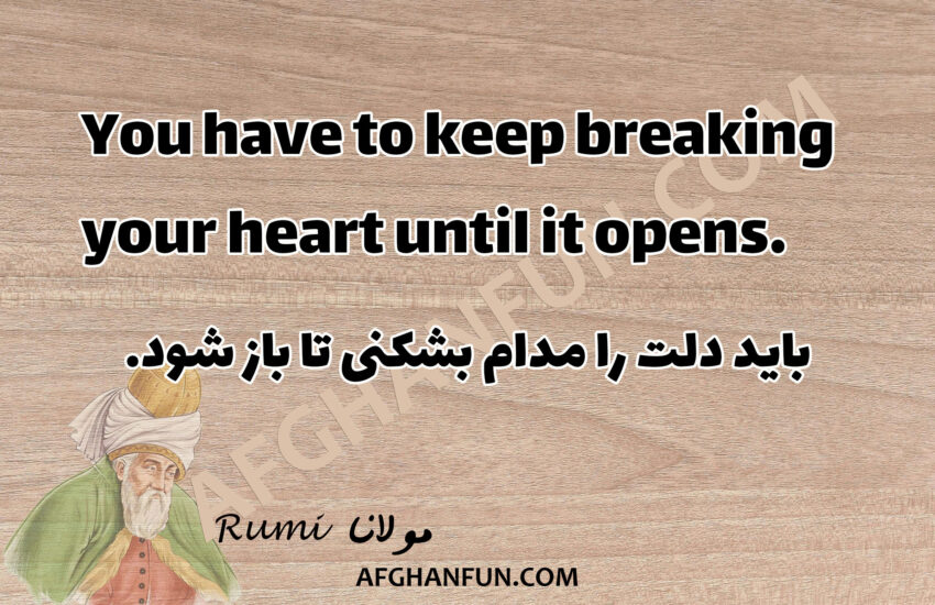 You have to keep breaking your heart until it opens.