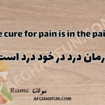 The cure for pain is in the pain