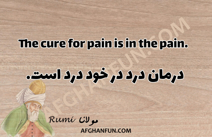 The cure for pain is in the pain