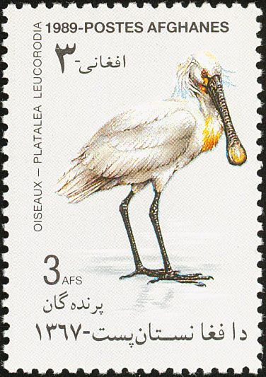 Eurasian Spoonbill stamps - mainly images