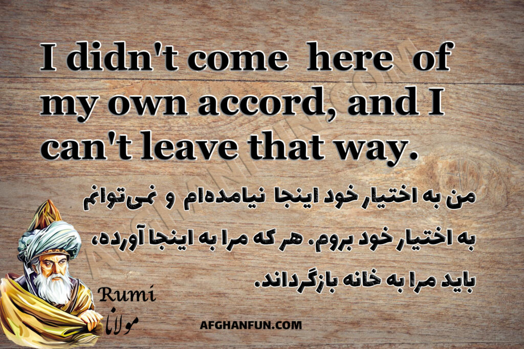 Rumi’s Reflection on the Soul: From Here to Home