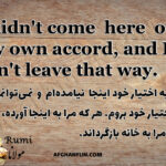 A textured image featuring a quote by Rumi: 'I didn't come here of my own accord, and I can't leave that way. Whoever brought me here will have to take me home.