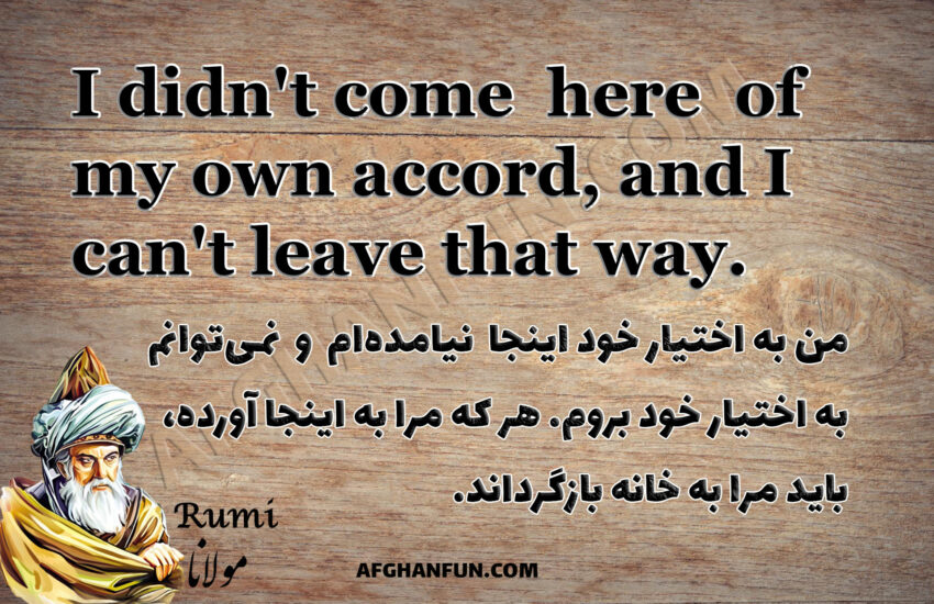 A textured image featuring a quote by Rumi: 'I didn't come here of my own accord, and I can't leave that way. Whoever brought me here will have to take me home.