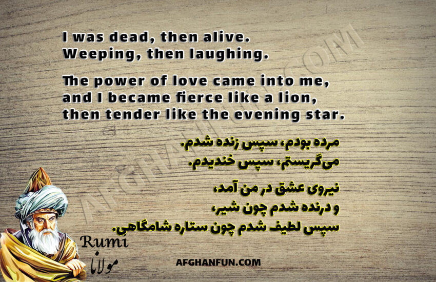 Rumi quote on a Wood grain background. Text reads: 'I was dead, then alive. Weeping, then laughing. The power of love came into me, and I became fierce like a lion, then tender like the evening star.