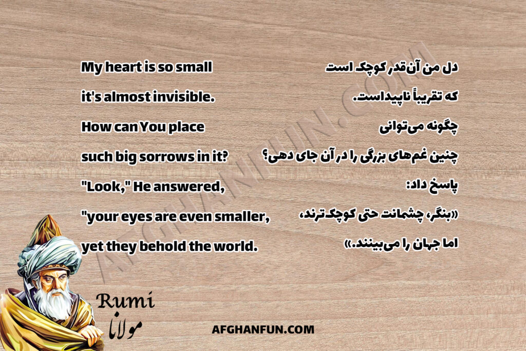 Rumi on the Infinite Capacity of the Human Heart