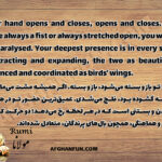 Rumi quote texture: 'Your hand opens and closes, opens and closes. If it were always a fist or always stretched open, you would be paralysed. Your deepest presence is in every small contracting and expanding, the two as beautifully balanced and coordinated as birds' wings.