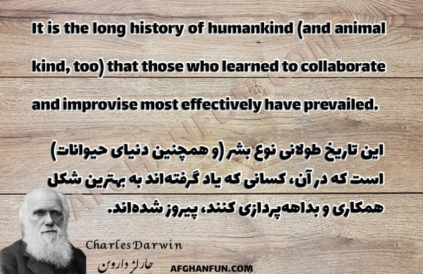 Quote about collaboration and improvisation leading to success.