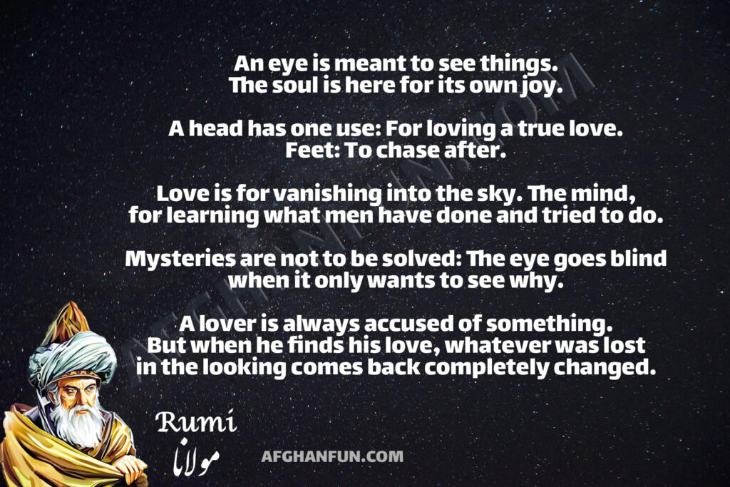 Rumi’s quote about love, the soul, and seeking truth.